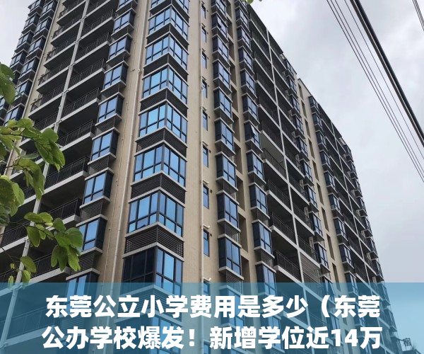 东莞公立小学费用是多少（东莞公办学校爆发！新增学位近14万个！）(东莞公立小学收费标准)