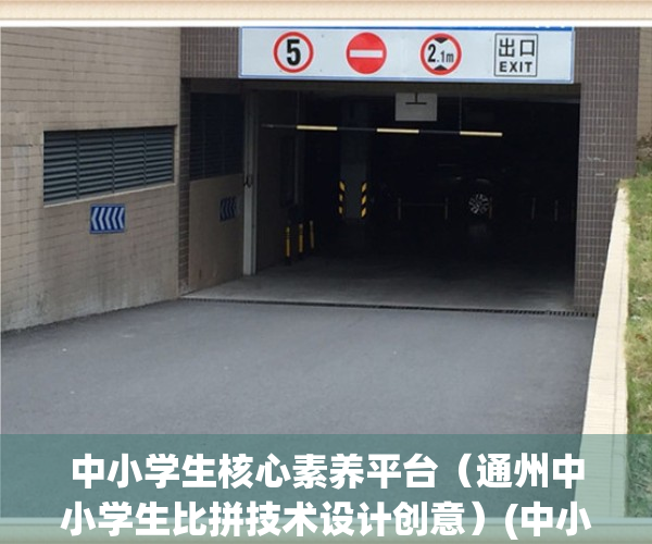 中小学生核心素养平台（通州中小学生比拼技术设计创意）(中小学核心素养发展水平评价表)