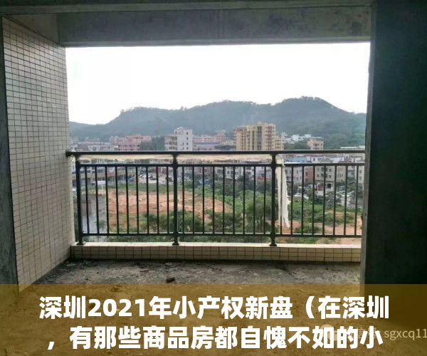 深圳2021年小产权新盘（在深圳，有那些商品房都自愧不如的小产权房？且市面价格低60%？）