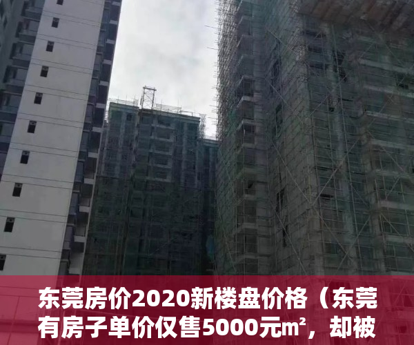 东莞房价2020新楼盘价格（东莞有房子单价仅售5000元㎡，却被相关部门查封！因为）