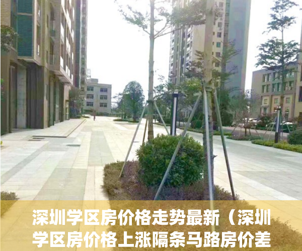 深圳学区房价格走势最新（深圳学区房价格上涨隔条马路房价差距大）(深圳学区房房价多少钱一平方)