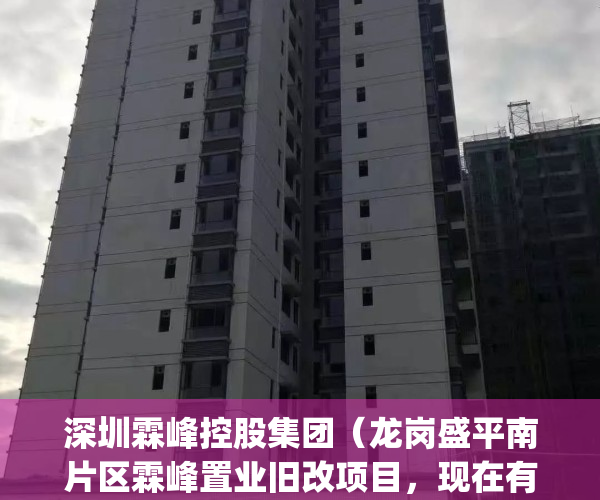 深圳霖峰控股集团（龙岗盛平南片区霖峰置业旧改项目，现在有货）(霖峰集团在龙岗的旧改)