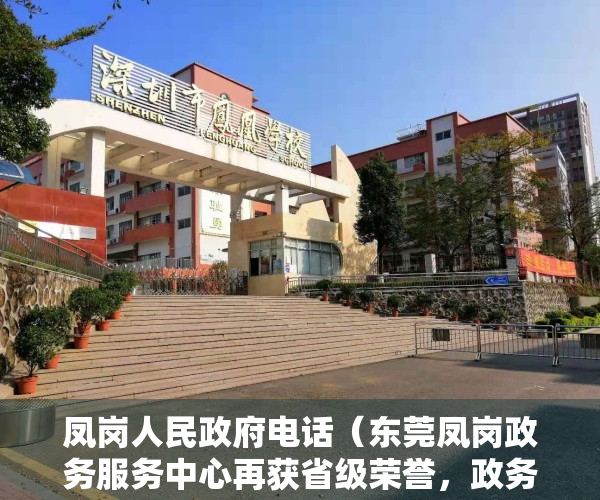 凤岗人民政府电话（东莞凤岗政务服务中心再获省级荣誉，政务服务品牌越擦越亮）