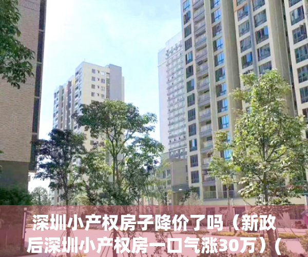 深圳小产权房子降价了吗（新政后深圳小产权房一口气涨30万）(深圳小产权暴涨30%)