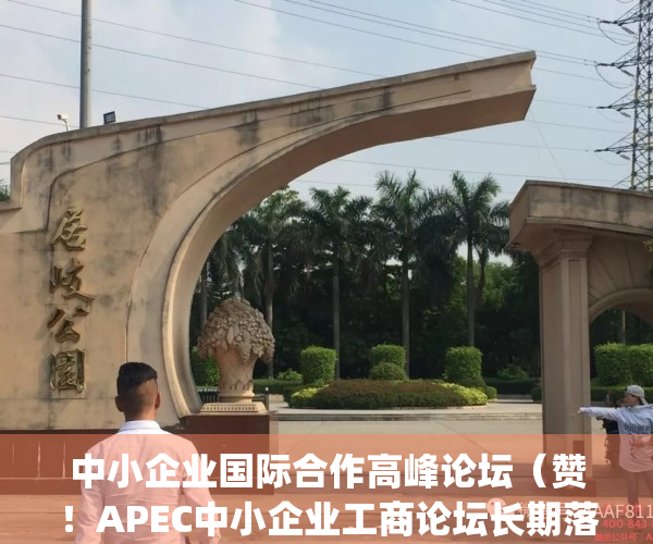 中小企业国际合作高峰论坛（赞！APEC中小企业工商论坛长期落户深圳）(apec中小企业技术交流会)