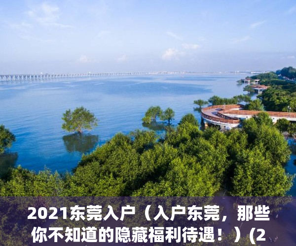 2021东莞入户（入户东莞，那些你不知道的隐藏福利待遇！）(2020年东莞市入户政策)