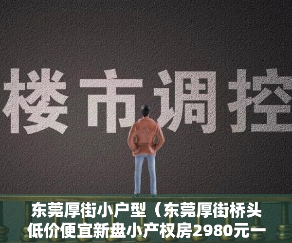 东莞厚街小户型（东莞厚街桥头低价便宜新盘小产权房2980元一平出售现房可分期 厚街新塘小学、厚街桥头小学、东莞市厚街镇新塘小学）