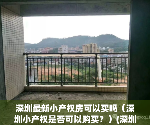 深圳最新小产权房可以买吗（深圳小产权是否可以购买？）(深圳小产权的房子可以买吗)