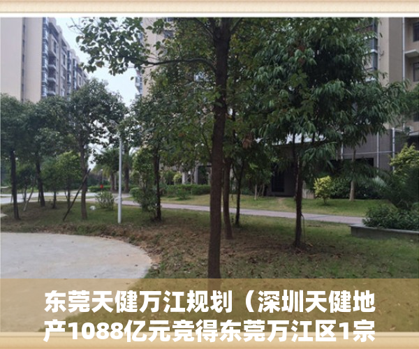 东莞天健万江规划（深圳天健地产1088亿元竞得东莞万江区1宗住宅用地）