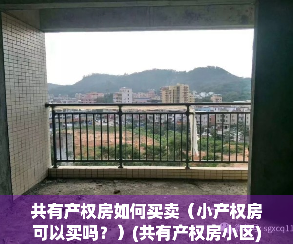 共有产权房如何买卖（小产权房可以买吗？）(共有产权房小区)