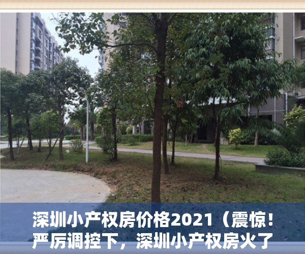 深圳小产权房价格2021（震惊！严厉调控下，深圳小产权房火了！竟然涨幅超30%？）