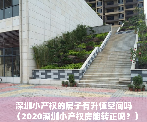 深圳小产权的房子有升值空间吗（2020深圳小产权房能转正吗？）(深圳小产权好出手吗)