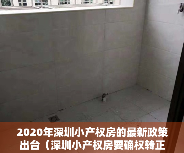 2020年深圳小产权房的最新政策出台（深圳小产权房要确权转正了吗？还能买卖吗？是好事还是坏事？）