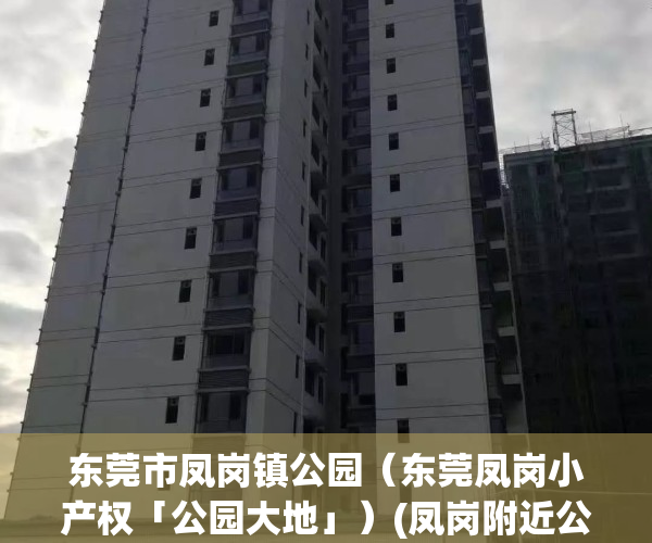 东莞市凤岗镇公园（东莞凤岗小产权「公园大地」）(凤岗附近公园有哪些)