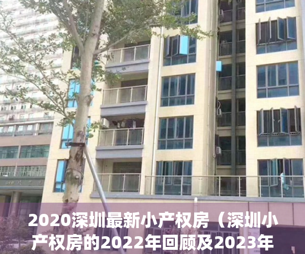 2020深圳最新小产权房（深圳小产权房的2022年回顾及2023年展望）(2020深圳小产权房最新消息)