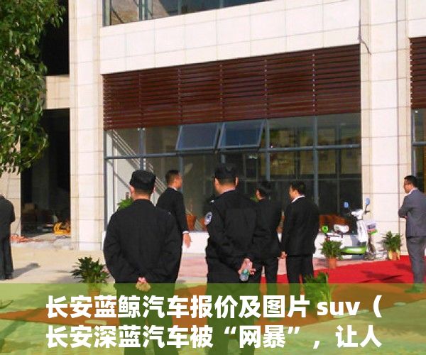 长安蓝鲸汽车报价及图片 suv（长安深蓝汽车被“网暴”，让人想起了特斯拉，车价、房价只能涨？）