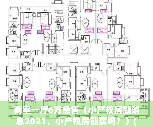 两室一厅6万急售（小产权房新消息2021，小产权房能买吗？）(小两房户型图 60平)