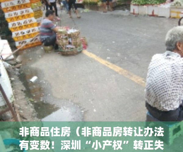 非商品住房（非商品房转让办法有变数！深圳“小产权”转正失败？）(非商品性质住宅)