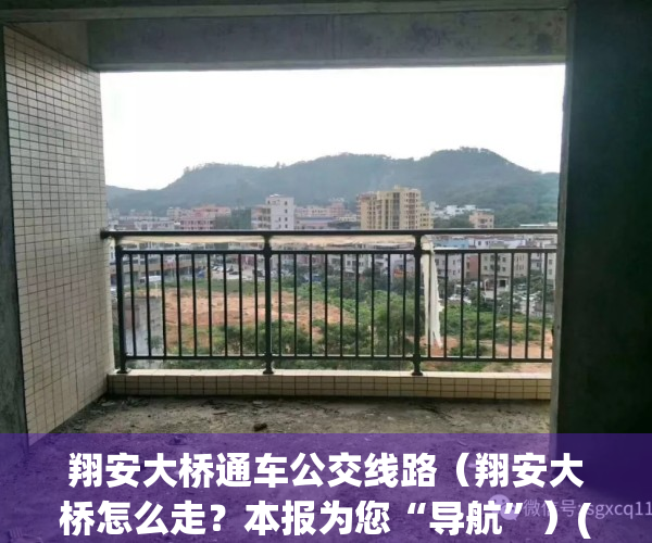 翔安大桥通车公交线路（翔安大桥怎么走？本报为您“导航”）(翔安大桥 通车)