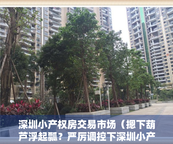 深圳小产权房交易市场（摁下葫芦浮起瓢？严厉调控下深圳小产权房市场的别样画面）